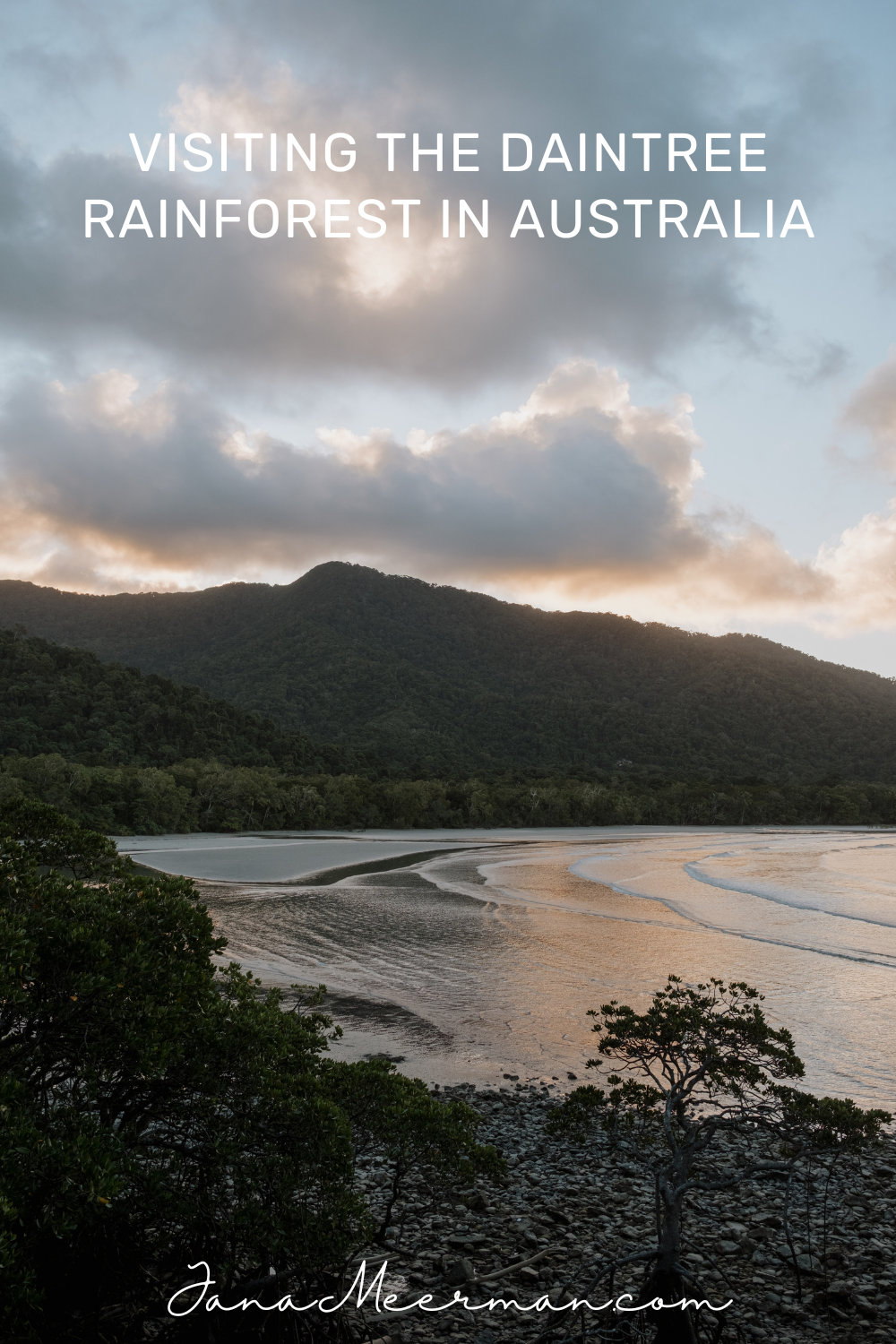 daintree rainforest