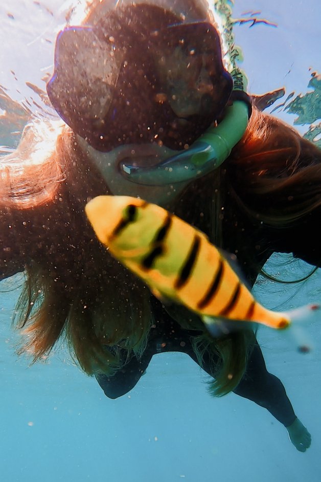 jana meerman blue pearl bay snorkeling whitsundays australia-9