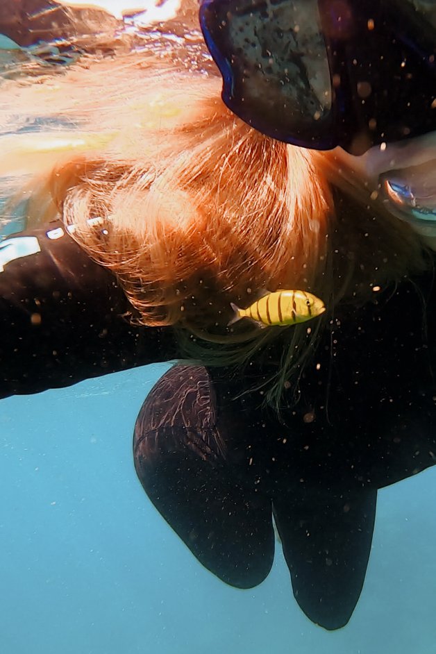 jana meerman blue pearl bay snorkeling whitsundays australia-9