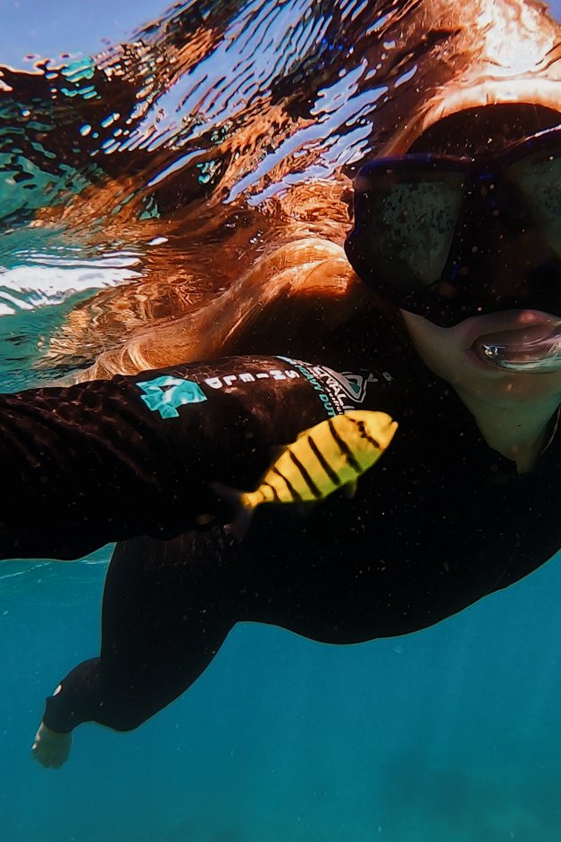 jana meerman blue pearl bay snorkeling whitsundays australia-9