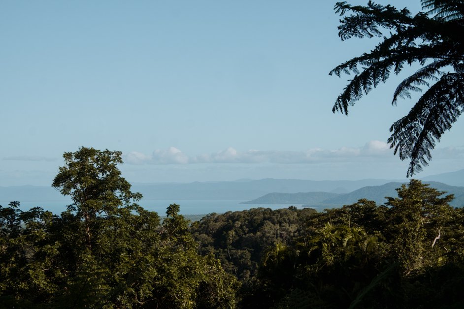 jana meerman cape tribulation daintree rainforest australia-12