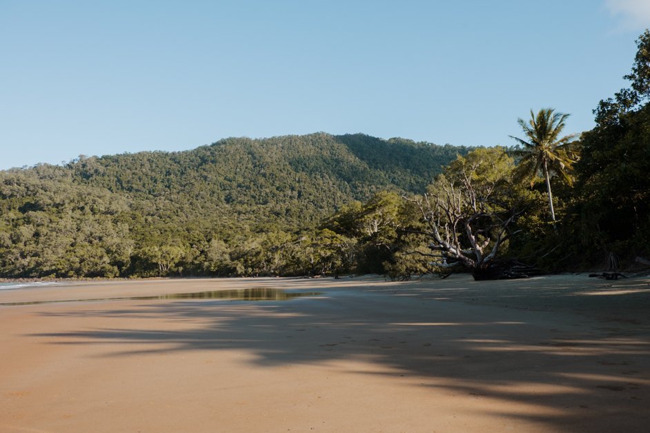 jana meerman cape tribulation daintree rainforest australia-15