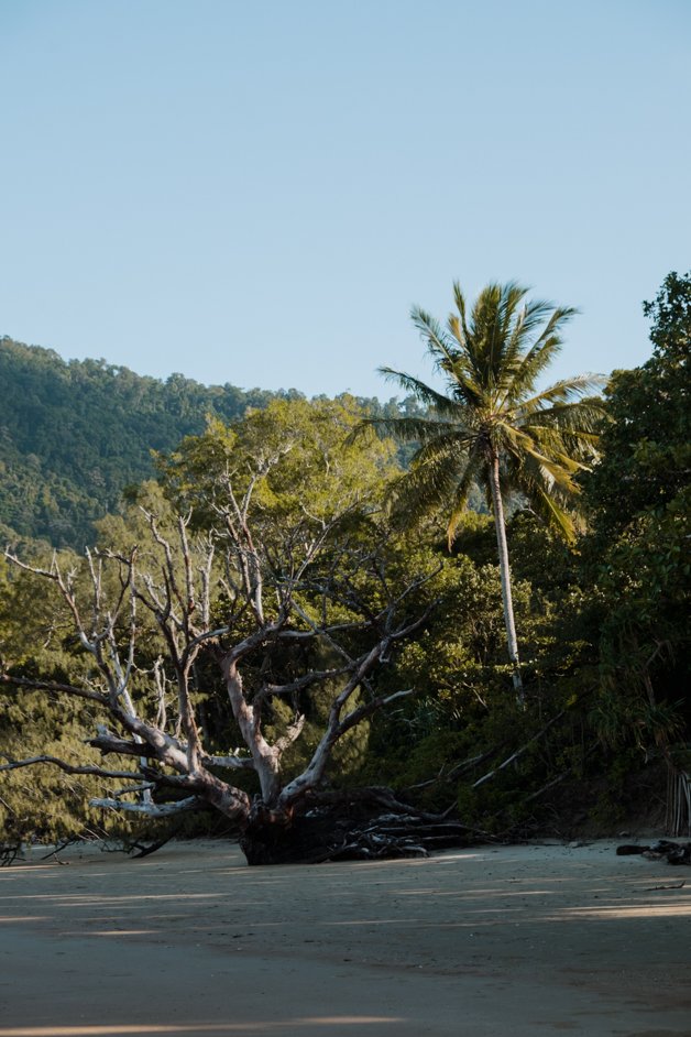 jana meerman cape tribulation daintree rainforest australia-15