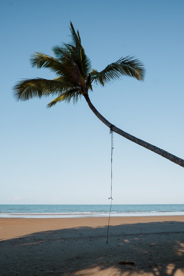 jana meerman cape tribulation daintree rainforest australia-19