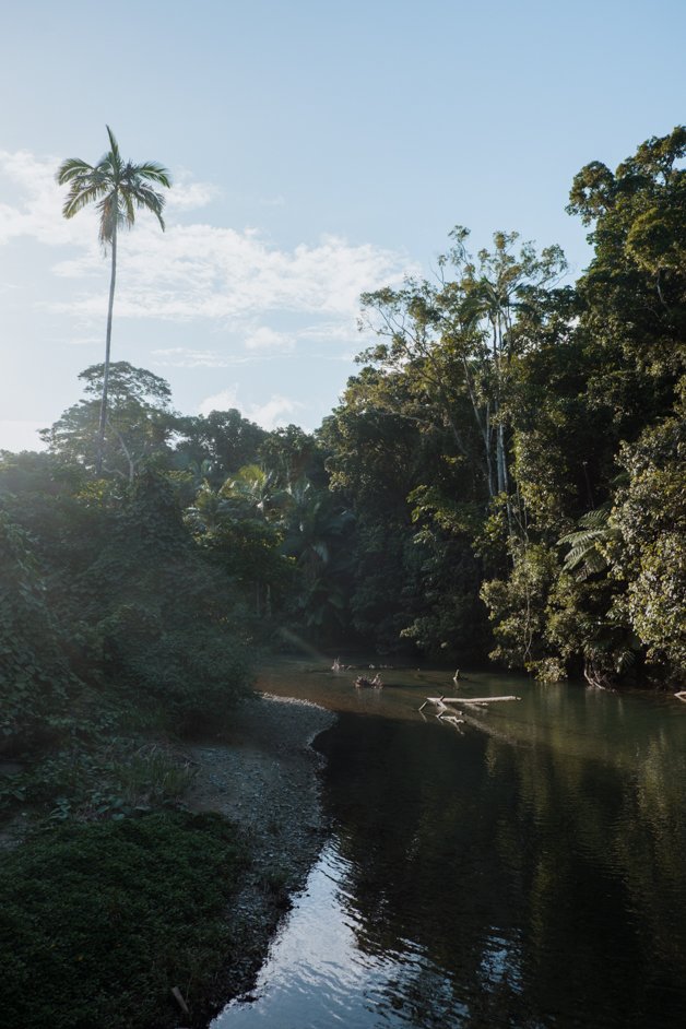 jana meerman cape tribulation daintree rainforest australia-22