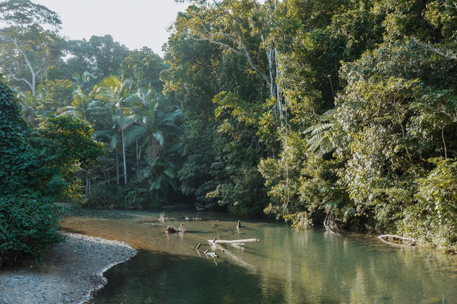 jana meerman cape tribulation daintree rainforest australia-22