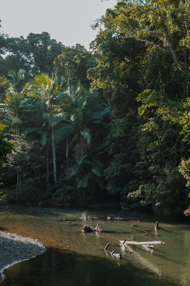 jana meerman cape tribulation daintree rainforest australia-22