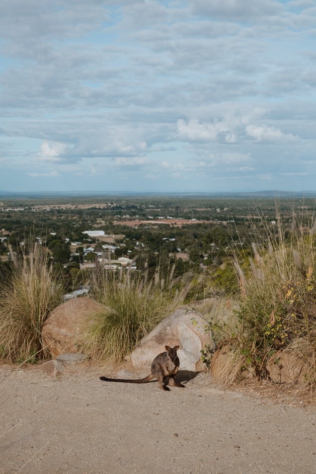 jana meerman charters towers australia-02