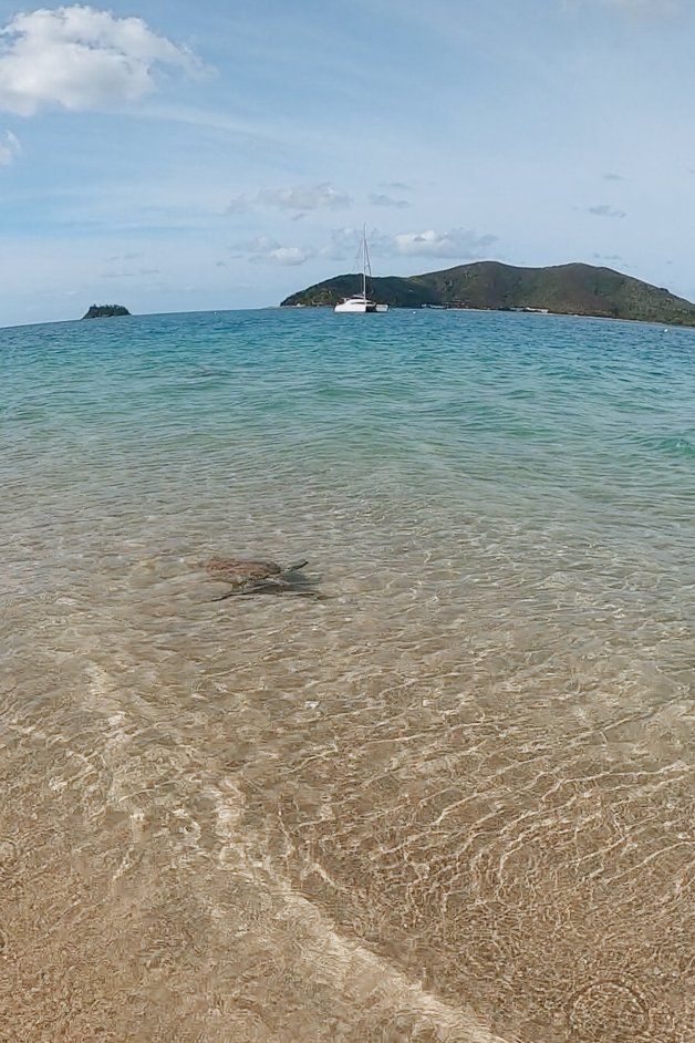 jana meerman langford island snorkeling whitsundays australia-2