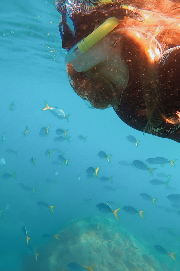 jana meerman mantaray bay snorkeling whitsundays australia-1