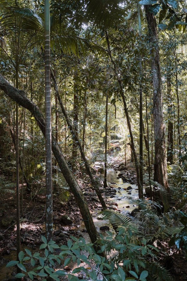 jana meerman mossman gorge daintree rainforest australia-28