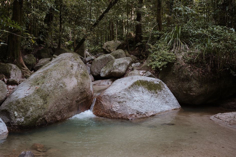 jana meerman mossman gorge daintree rainforest australia-28
