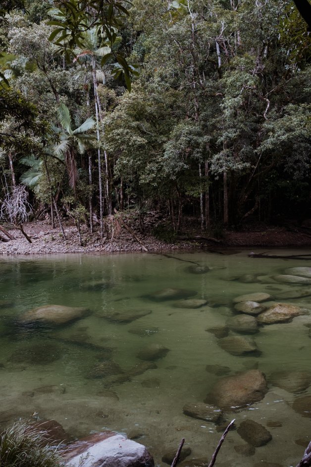 jana meerman mossman gorge daintree rainforest australia-28