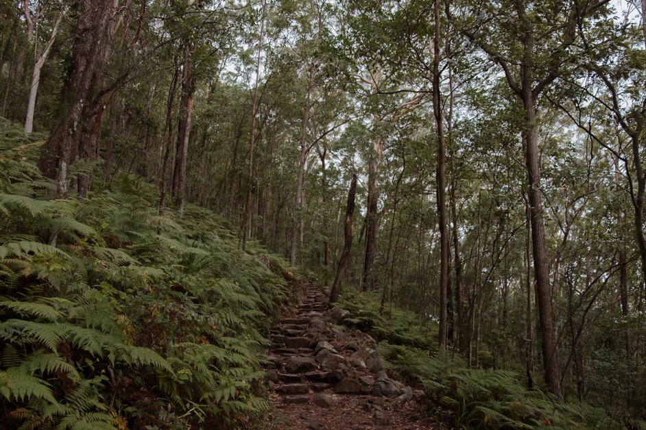 jana meerman mount ngungun hike glass house mountains australia-3