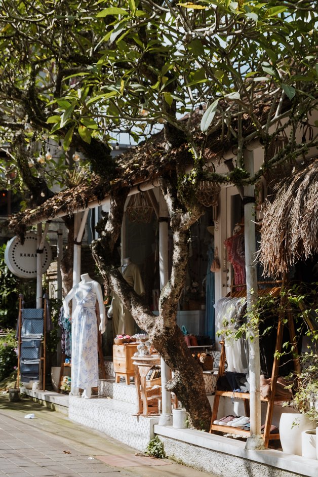 jana meerman ubud bali indonesia-18