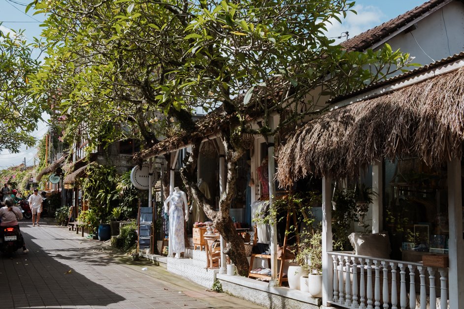 jana meerman ubud bali indonesia-18