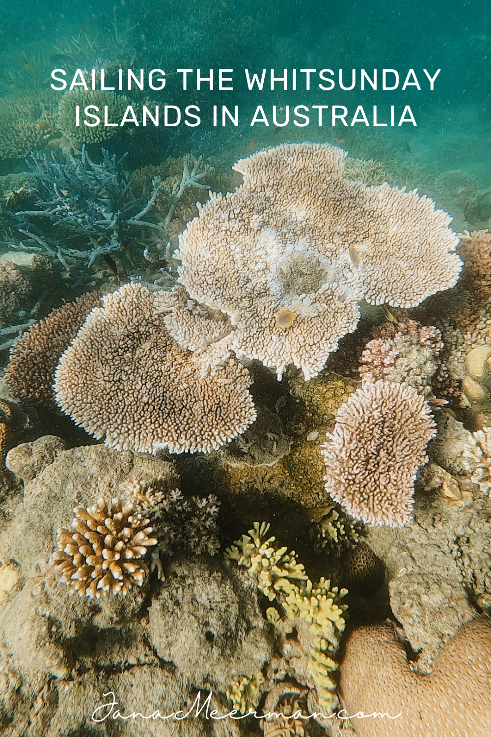 whitsunday islands (2)