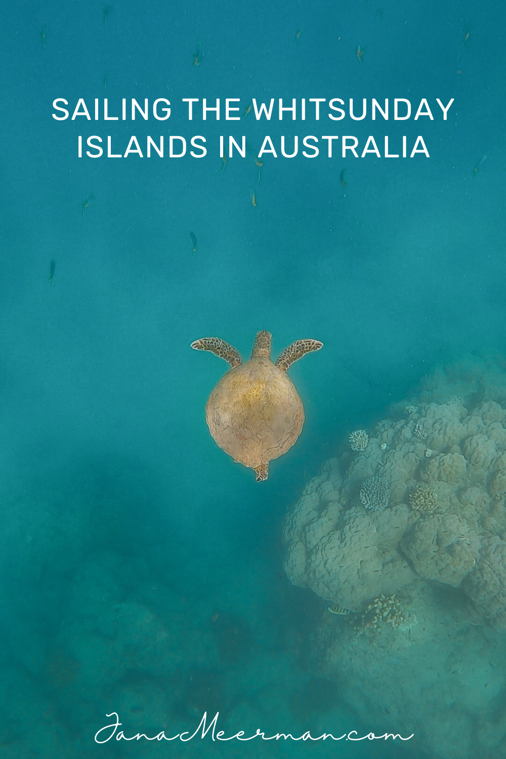 whitsunday islands (2)