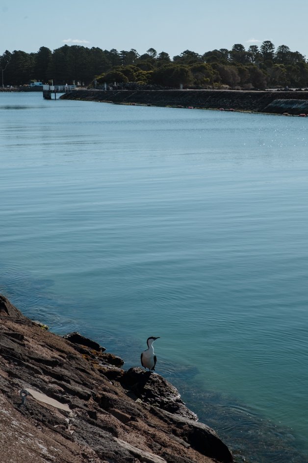 jana meerman port fairy australia-03