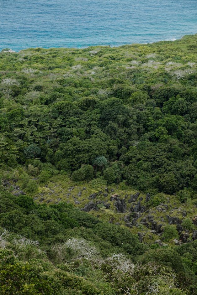 jana meerman margaret knoll lookout christmas island-04