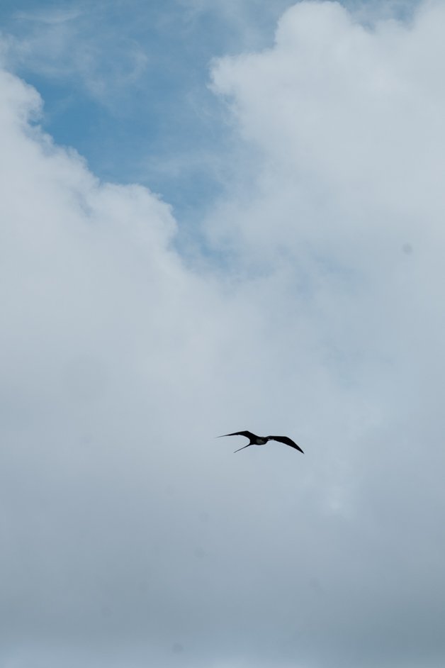 jana meerman margaret knoll lookout christmas island-04
