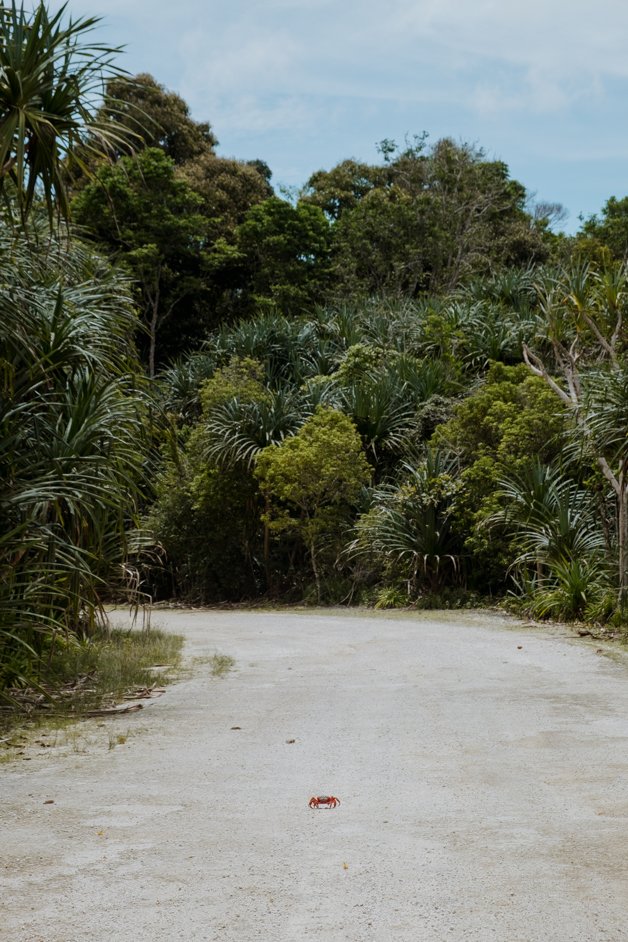jana meerman margaret knoll lookout christmas island-13
